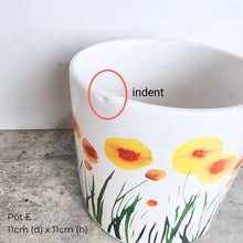 Load image into Gallery viewer, The Leaferie As-Is May 25 (9items). Defective flowerpot