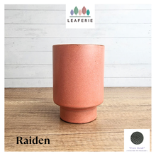 Load image into Gallery viewer, Raiden Flowerpot