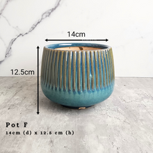 Load image into Gallery viewer, the Leaferie As-is september 2024. 12 pot