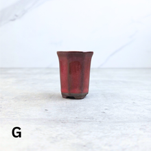 Load image into Gallery viewer, Petit Bonsai Pot (Series 7)