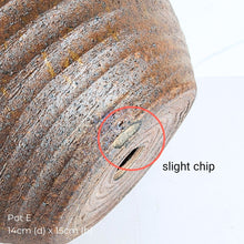 Load image into Gallery viewer, The Leaferie As-is Pot June 2025. 9 items