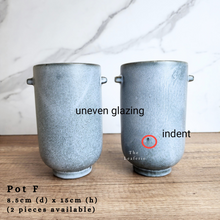 Load image into Gallery viewer, The Leaferie As-is Sale March 24. Pot F