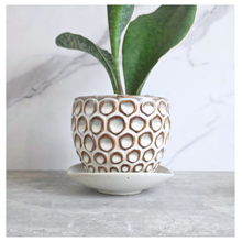 Load image into Gallery viewer, The Leaferie Izen trays. 4 colors ceramic tray