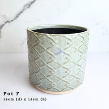 Load image into Gallery viewer, The Leaferie AS-Is May 2024. 12 pieces ceramic pots