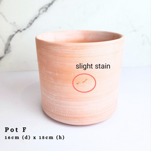 Load image into Gallery viewer, The Leaferie As-Is April 2024 flowerpots