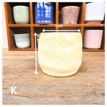 Load image into Gallery viewer, Petit Flowerpots (Series 8)