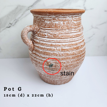 Load image into Gallery viewer, The Leaferie As-is Feb 24. Pot G