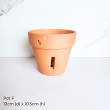 Load image into Gallery viewer, The Leaferie As-Is Pot April 25. 9 items