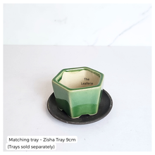 Load image into Gallery viewer, The Leaferie Bonsai pot series 81. hexagon ceramic pot. 5 colours