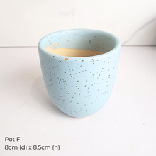 Load image into Gallery viewer, The Leaferie AS-IS Jan 25 . 9 new flowerpots