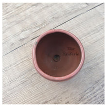 Load image into Gallery viewer, Petit Bonsai Pot (Series 8)