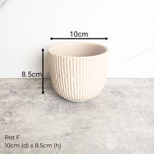 Load image into Gallery viewer, The Leaferie As-Is May 25 (9items). Defective flowerpot