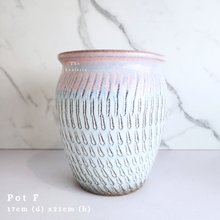 Load image into Gallery viewer, The Leaferie Asi-is Pots Nov and dec 24. 9 items.