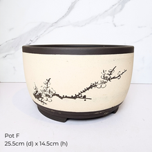 Load image into Gallery viewer, The Leaferie As-is March 25 . 9 items