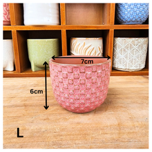 Load image into Gallery viewer, Petit Flowerpots (Series 7)