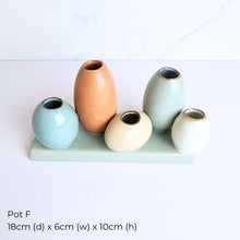 Load image into Gallery viewer, The Leaferie As-is Pot June 2025. 9 items