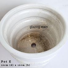 Load image into Gallery viewer, The Leaferie AS-IS october 24. 8 items