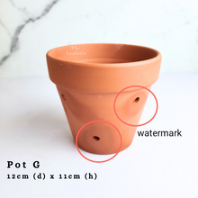 Load image into Gallery viewer, The Leaferie As-Is April 2024 flowerpots