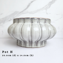 Load image into Gallery viewer, The Leaferie As-is Feb 24. Pot H