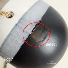 Load image into Gallery viewer, As-Is Pots Batch September 2023 (13 items)