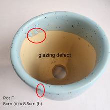 Load image into Gallery viewer, The Leaferie AS-IS Jan 25 . 9 new flowerpots