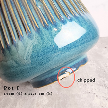 Load image into Gallery viewer, the Leaferie As-is september 2024. 12 pot