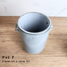 Load image into Gallery viewer, The Leaferie As-is Sale March 24. Pot F