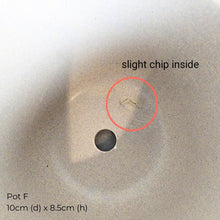 Load image into Gallery viewer, The Leaferie As-Is May 25 (9items). Defective flowerpot