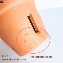 Load image into Gallery viewer, The Leaferie As-Is Pot April 25. 9 items