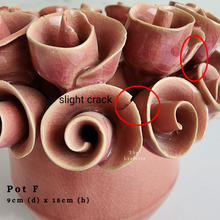 Load image into Gallery viewer, The Leaferie As-Is Batch june 2024. defective pot 12 pieces.