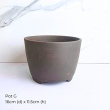 Load image into Gallery viewer, Collection of As-Is Feb 26 ceramic pots with various designs and colors Leaferie brand.