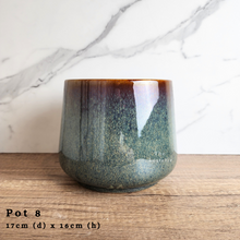 Load image into Gallery viewer, As-Is Batch January 2024 (15 items)