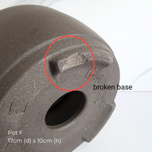 Load image into Gallery viewer, The Leaferie As-Is Feb 2025. 9 pieces items