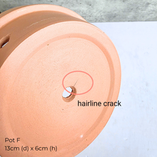 Load image into Gallery viewer, As-Is Dec 2025 Collage of various ceramic pots and planters with Leaferie logo.