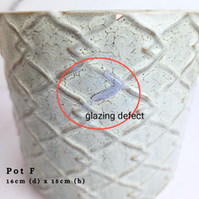 Load image into Gallery viewer, The Leaferie AS-Is May 2024. 12 pieces ceramic pots