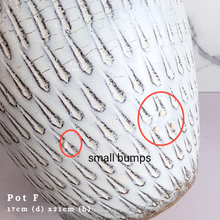 Load image into Gallery viewer, The Leaferie Asi-is Pots Nov and dec 24. 9 items.