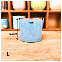 Load image into Gallery viewer, Petit Flowerpots (Series 6)