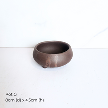 Load image into Gallery viewer, The Leaferie As-Is Pot April 25. 9 items