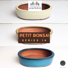 Load image into Gallery viewer, Petit Bonsai Pot (Series 14) Oval