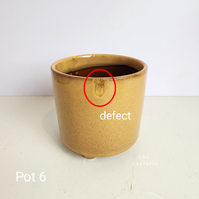 Load image into Gallery viewer, As-Is Pots Batch October 2023 (13 items)