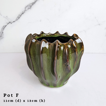 Load image into Gallery viewer, The Leaferie AS-IS october 24. 8 items