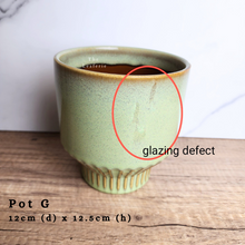 Load image into Gallery viewer, The Leaferie As-is Sale March 24. Pot G