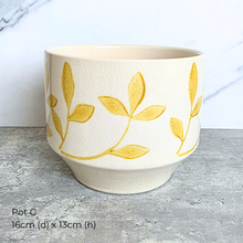 Load image into Gallery viewer, As-is Sept 26. 9 items with slight defects.