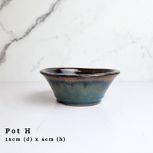 Load image into Gallery viewer, The Leaferie As-Is April 2024 flowerpots