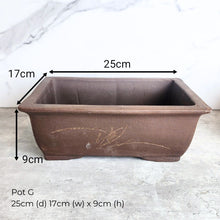 Load image into Gallery viewer, The Leaferie As-Is May 25 (9items). Defective flowerpot