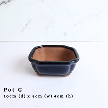 Load image into Gallery viewer, The Leaferie As-Is Batch june 2024. defective pot 12 pieces.