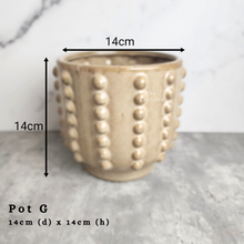Load image into Gallery viewer, Pot E (1) - 16cm(d) x 17cm (w) x 9cm (h) Retail $28 Defect : Hairline crack inside of pot. Material ~ Zisha . Drainage hole ~ Yes