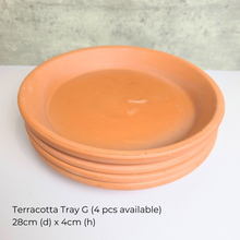 Load image into Gallery viewer, The Leaferie As-is July-aug 25. 9 items