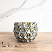 Load image into Gallery viewer, The Leaferie AS-IS Pots December 23. Pot 9