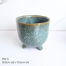 Load image into Gallery viewer, The Leaferie AS-IS Jan 25 . 9 new flowerpots